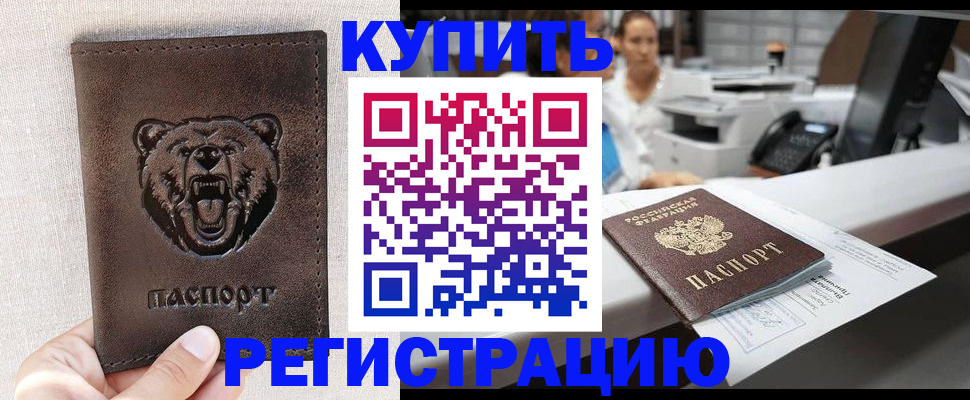 регистрация в Новозыбкове